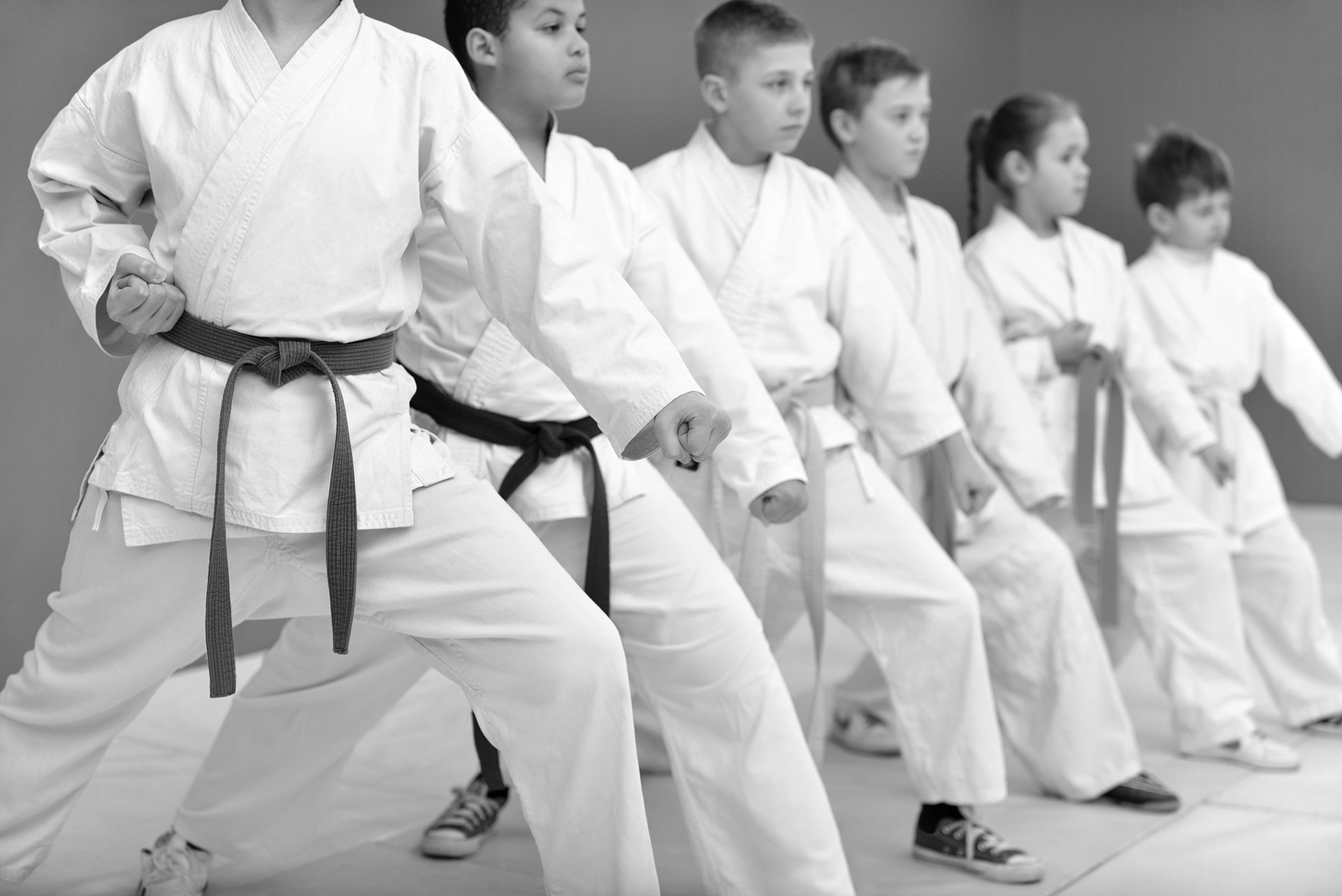 About Us - USA Seibukan Martial Arts Training Center